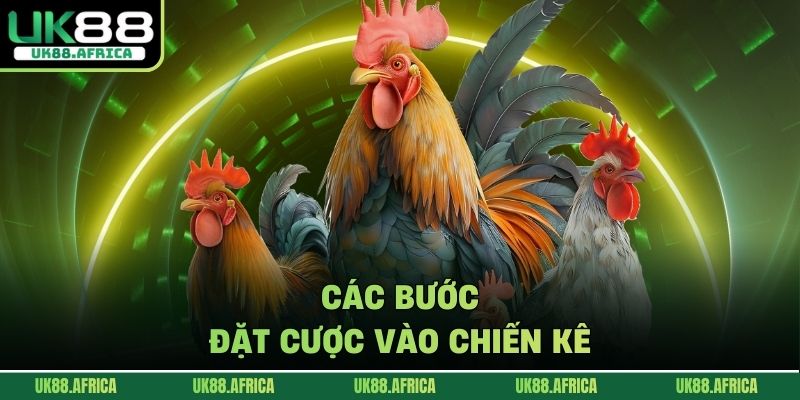 Đá gà UK88