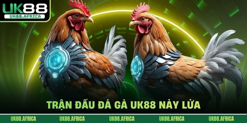 Đá gà UK88